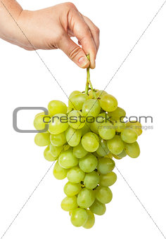 Hand holding a bunch of grapes