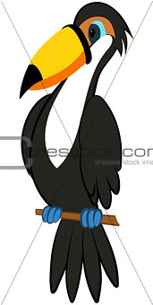 Funny Cartoon Toucan 