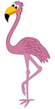 Funny Cartoon Flamingo
