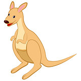 Funny Cartoon Kangaroo