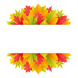 Colorful Autumn Background with Leaves