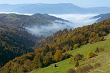 autumn landscape with mist