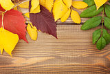 Autumn leaves over wood background with copy space