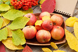 Autumn apples and leaves