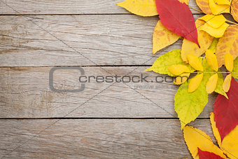 Colorful autumn leaves on woden background