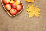 Autumn leaves and apples over burlap