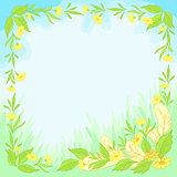 Flowers, leaves and feathers on blue background