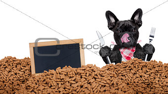 hungry dog  behind mound food