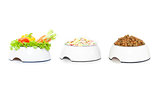 row of  3 pet food bowls