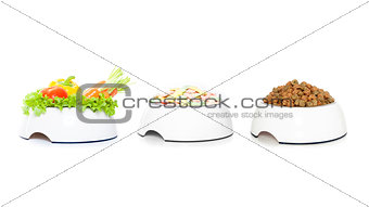 row of  3 pet food bowls