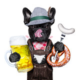 bavarian beer celebration dog 