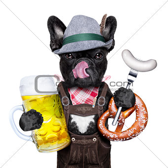 bavarian beer celebration dog 