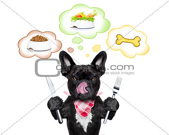 hungry dog   with speech bubble