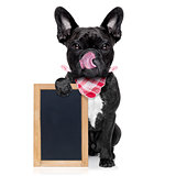 hungry dog  with blackboard