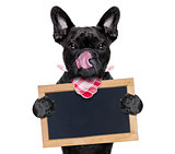 hungry dog   with blackboard