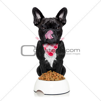 hungry dog  and bowl