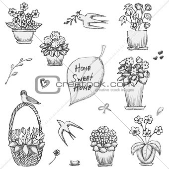 Hand drawn indoor plants, flowers in vases and swallows sketch