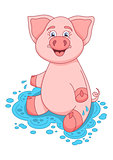 Vector illustration of cute pig on water puddle