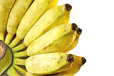 Cultivate banana isolate white background