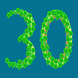Figure thirty 30 anniversary celebration tropical island