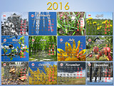 calendar for 2016 in English with photo for every month