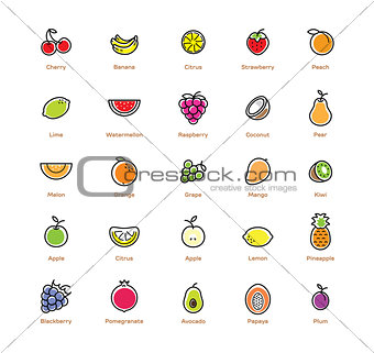 Fruit icons set. Colorful design.