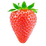 Sweet Juicy Strawberry Isolated on the White Background