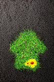 Eco background with soil and house of green grass