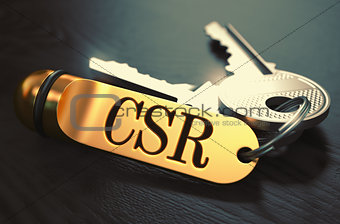 CSR - Bunch of Keys with Text on Golden Keychain.