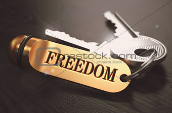 Keys to Freedom. Concept on Golden Keychain.
