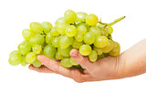 Bright grapes lying in hand