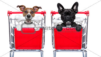 shopping cart dogs