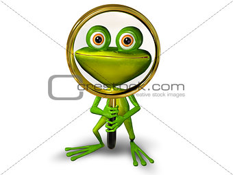 Frog with a magnifying glass