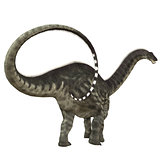 Apatosaurus Dinosaur Tail