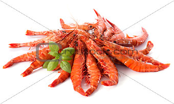 Drunken shrimp
