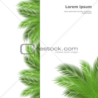 palm template