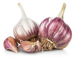 Fresh garlic in cut