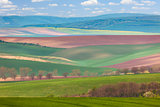 Spring Landscape of fields in countryside