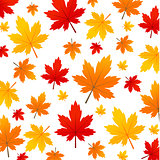 Autumn leaves vector illustration