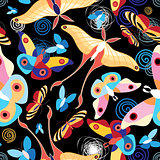 pattern multicolored butterflies