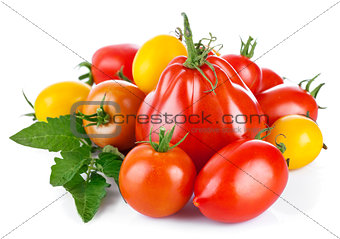 Fresh tomatoes with green leaves