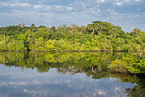 Amazon forest and black river, cloudy sky