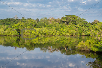 Amazon forest and black river, cloudy sky