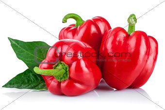 Fresh peppers with green leaves