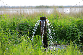 water source on meadow in steppe