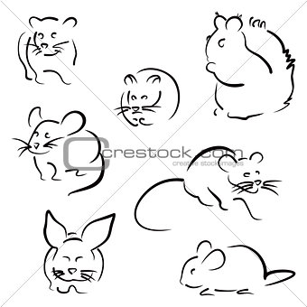 Set of rodents