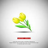 Three vector yellow flowers tulips isolated on a white background