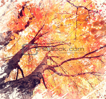 Autunm Trees Watercolor