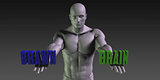 Brain vs Brawn