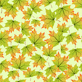 Seamless pattern with colorful autumn leaves.